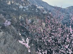 -北京凤凰岭