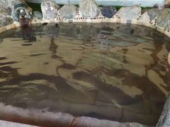 -华山御温泉度假村