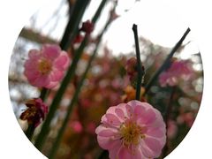 -北京鹫峰国家森林公园