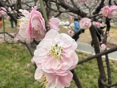 -北京明城墙遗址公园