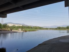 -门城湖公园