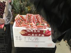 -超级物种·波龙工坊(国贸店)