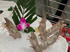 -纯味斑鱼府(中海环宇荟店)