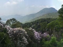 -梧桐山风景名胜区