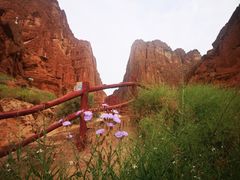 -天山神秘大峡谷