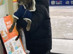 -宠颐生动物医院·小陆分院