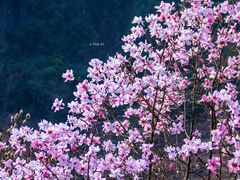 -九皇山景区