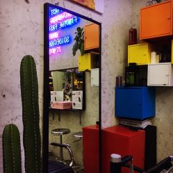 -SALON V