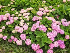 -桂溪生态公园