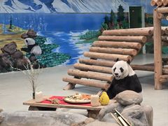 -柳州市动物园