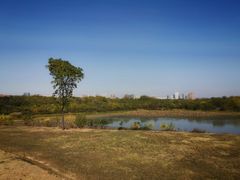 -盘龙城国家考古遗址公园