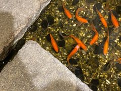 -邈墨茶馆(凤起路店)