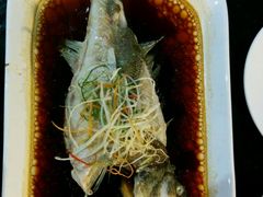 -云中小雅
