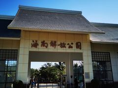 -临高角