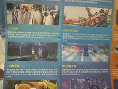 -海合安武汉极地海洋公园