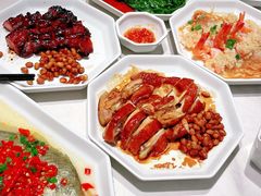 -金戈戈香港豉油鸡(南山海岸城店)