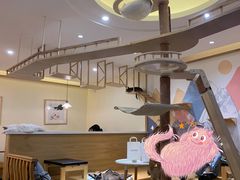 -滚猫咖啡·猫咖·猫友好撸猫(未来城店)