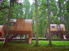 -黄海国家森林公园