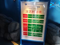 -烟台海昌鲸鲨海洋公园
