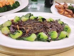 香葱扒辽参-东方滨江大酒店·滨江厅