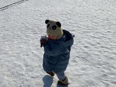 -绿野森林乐园冰雪季