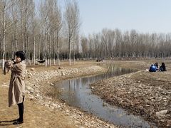 -东郊湿地公园