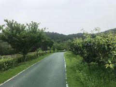 -龙寺生态园
