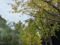 -苏州河梦清园环保主题公园