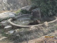 -无锡动物园·太湖欢乐园