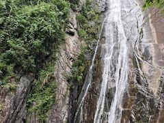 -四明山国家森林公园