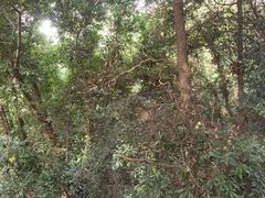 -成都老君山