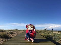 -青海湖国家重点风景名胜区