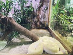 -上海大自然野生昆虫馆(东方明珠·爬宠昆虫探索中心)