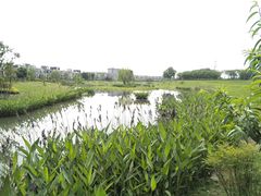 -两河城市森林公园