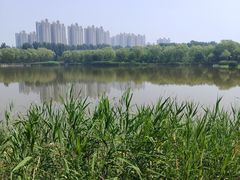 -燕郊植物园