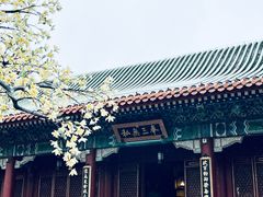 -珠海圆明新园