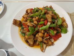 -煲来饱去冷水鱼