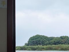 -莲花岛景区