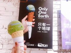 燕麦地球-Dal Cuore 达可芮冰淇淋(陕西北路店)