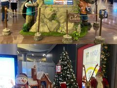 -西沃古尔·拉姆古兰爵士国际机场