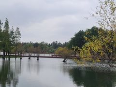 -贡湖湾湿地公园