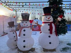 -宠乐会宠物乐园