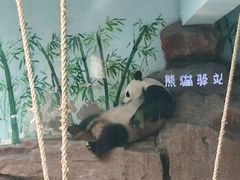 -济南野生动物世界