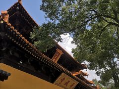 -亭林园-华藏寺