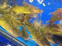 -盒马鲜生(双清路店)