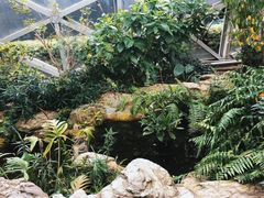 -上海辰山植物园