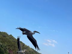 -深圳野生动物园