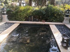 -苏州湾·王焰温泉