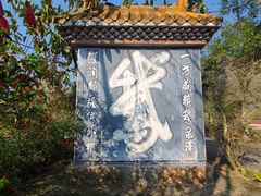 -靖西鹅泉风景区