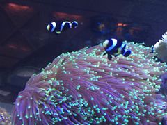 -乐享养生(东湖店)